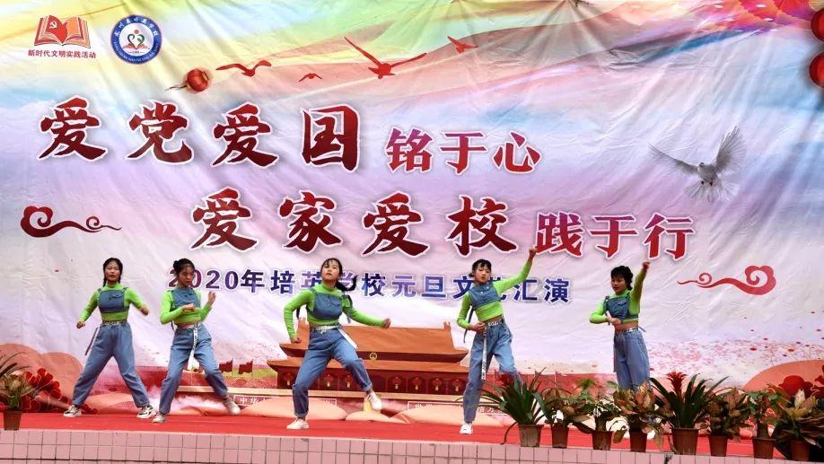 什么狗聪明听话又好养